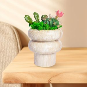 Ball Cactus Moss Desktop Bonsai, Suitable For Study Rooms, Living Rooms, Bedrooms, Etc (MOSD01101F)