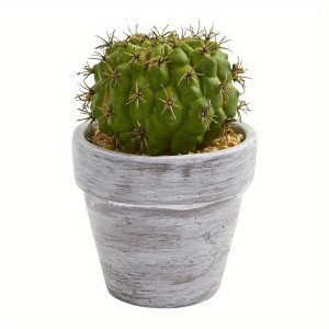 8 X 3.5 3pc Artificial Cactus Plant Set