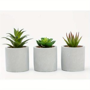 3-Piece Succulent Set in Gray Cement Planters