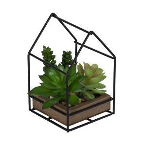 Live Mixed Succulent Plants in Black Metal House Terrarium, Non-GMO, 5.5" Artificial Miniature Cactus Garden