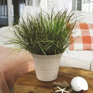 Round Self Watering Planter - Small Decorative Lightweight Plastic Plant Pot for Indoor Outdoor Plants Flowers Herbs, Cottage Stone