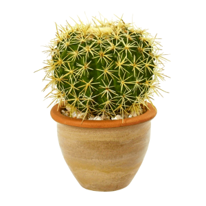 Cactus artificial plants decorated ceramic POTS