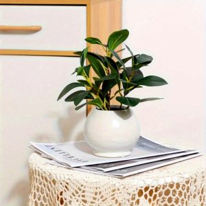 Indoor Artificial Peperomia in Ceramic Pot, 11in, White, Lightweight at 1.2lb