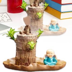 Mini Brazil Lucky Wood Hydroponic Potted Plant Lucky Plants Indoor for Desktop